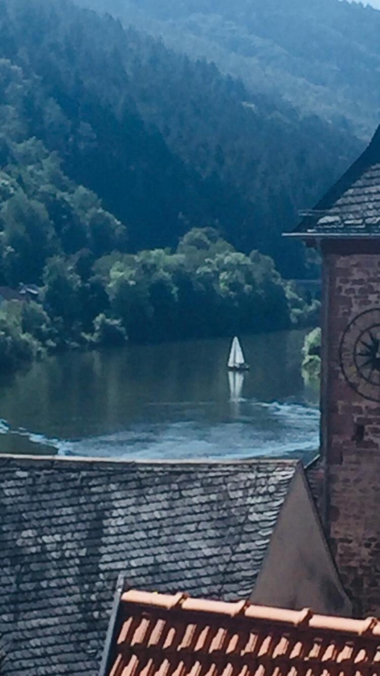 Natur Und Neckarblick Bei Heidelberg Хиршхорн Екстериор снимка