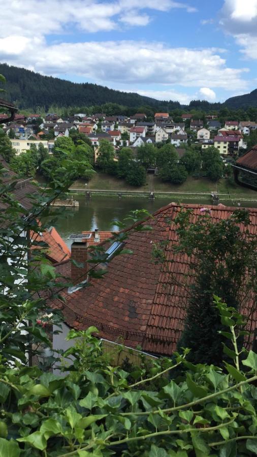 Natur Und Neckarblick Bei Heidelberg Хиршхорн Екстериор снимка