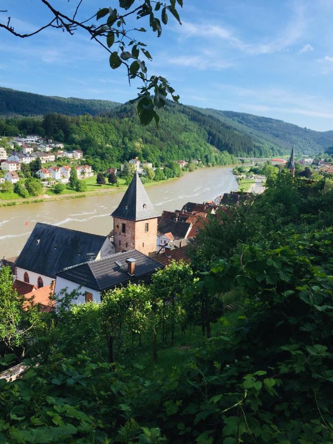 Natur Und Neckarblick Bei Heidelberg Хиршхорн Екстериор снимка