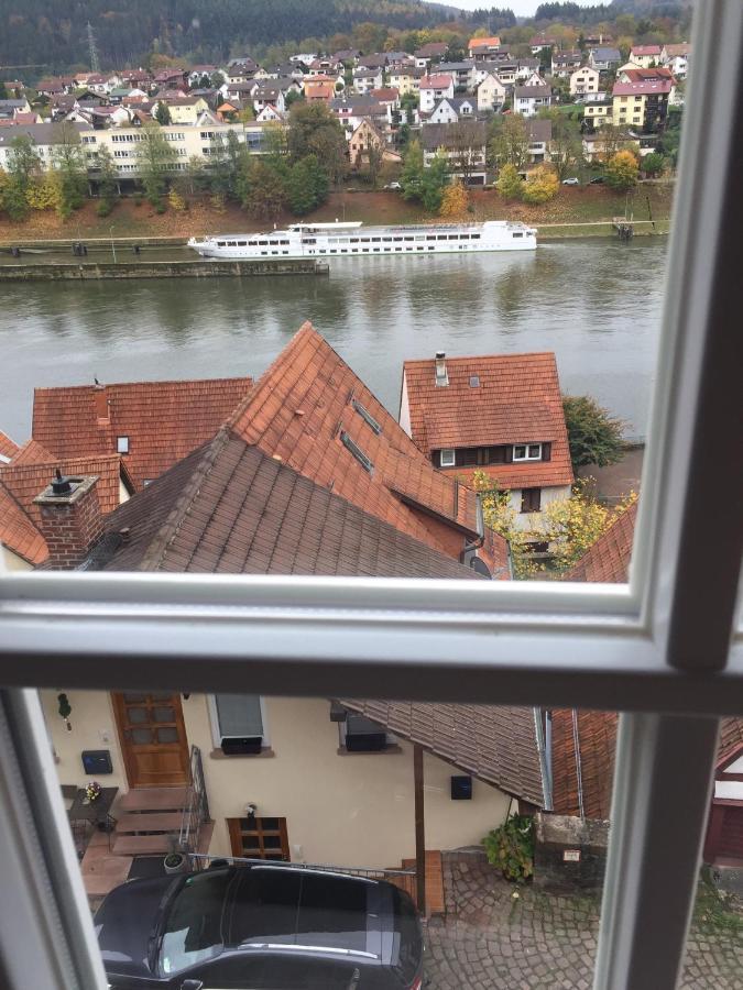 Natur Und Neckarblick Bei Heidelberg Хиршхорн Екстериор снимка
