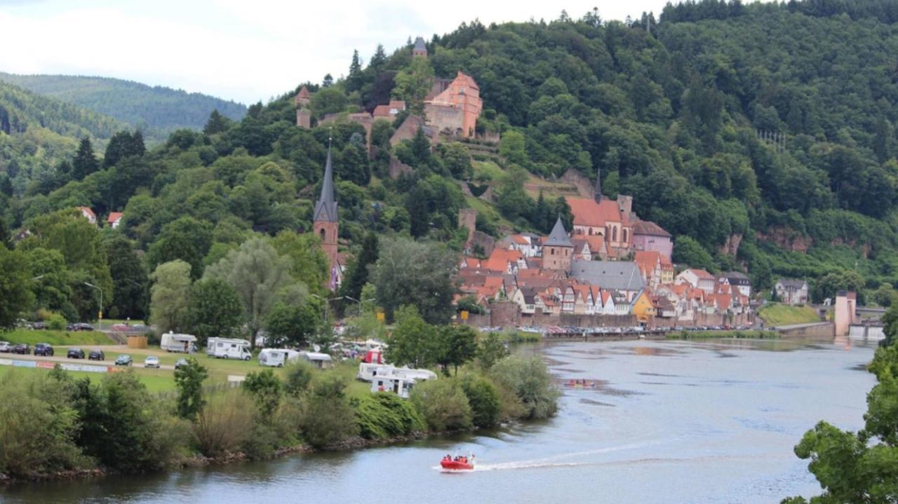 Natur Und Neckarblick Bei Heidelberg Хиршхорн Екстериор снимка