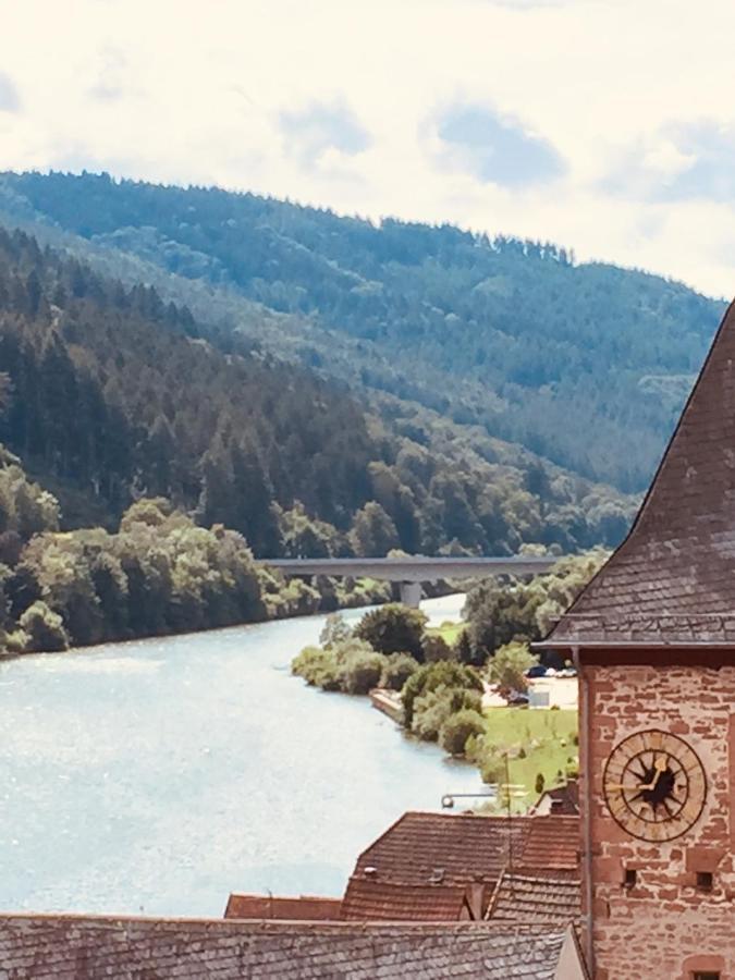 Natur Und Neckarblick Bei Heidelberg Хиршхорн Екстериор снимка