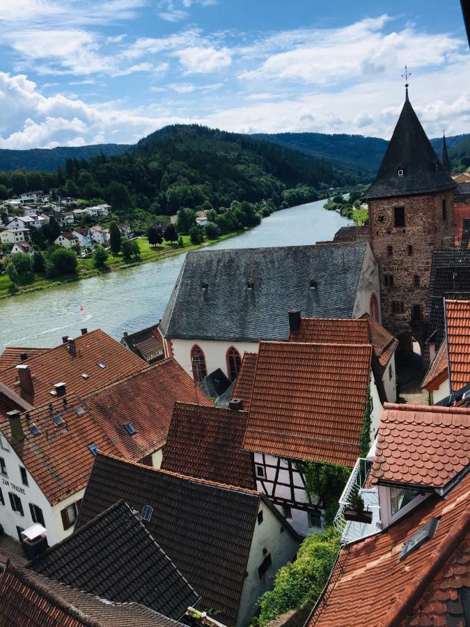 Natur Und Neckarblick Bei Heidelberg Хиршхорн Екстериор снимка