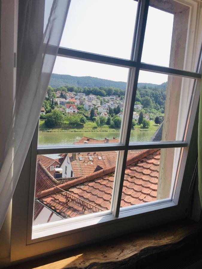 Natur Und Neckarblick Bei Heidelberg Хиршхорн Екстериор снимка