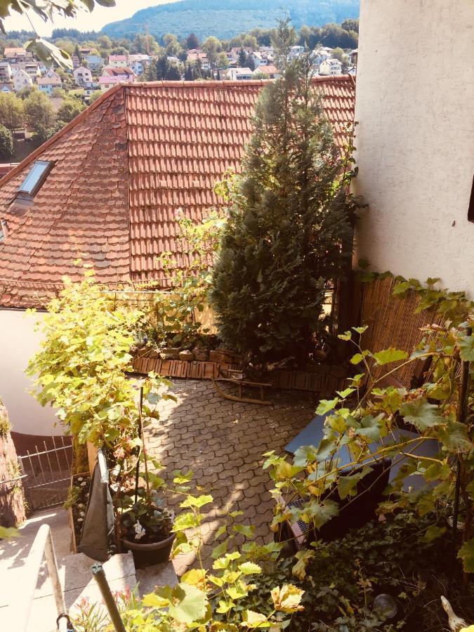 Natur Und Neckarblick Bei Heidelberg Хиршхорн Екстериор снимка