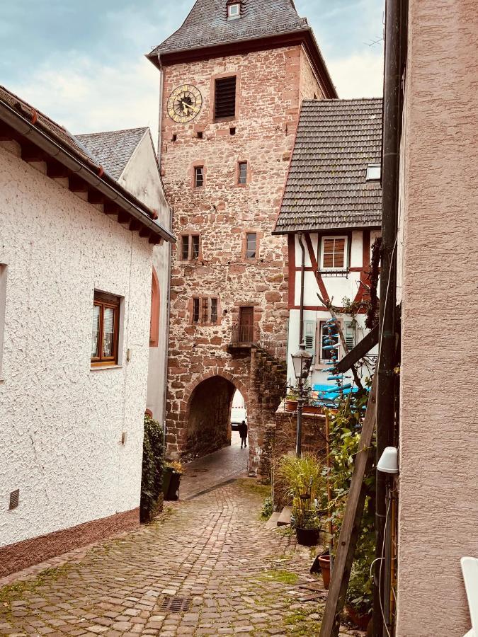 Natur Und Neckarblick Bei Heidelberg Хиршхорн Екстериор снимка