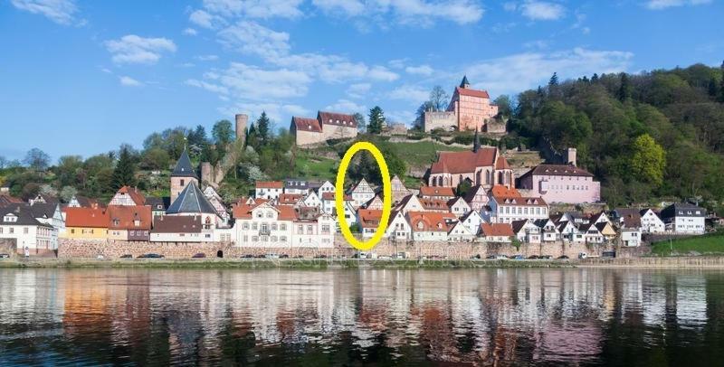 Natur Und Neckarblick Bei Heidelberg Хиршхорн Екстериор снимка