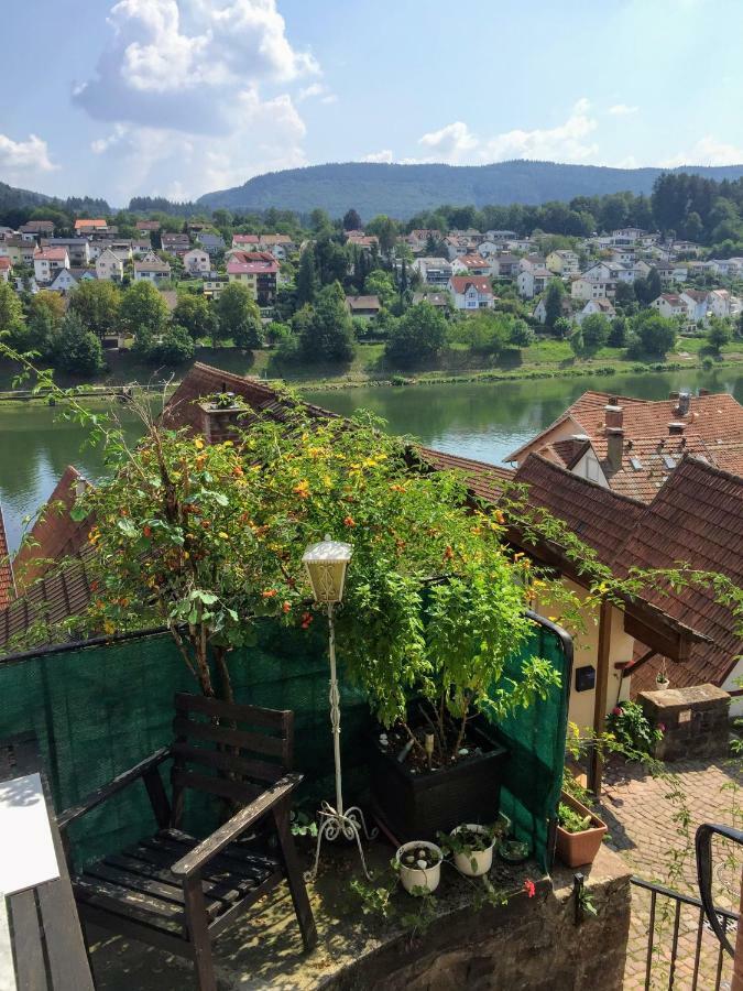 Natur Und Neckarblick Bei Heidelberg Хиршхорн Екстериор снимка