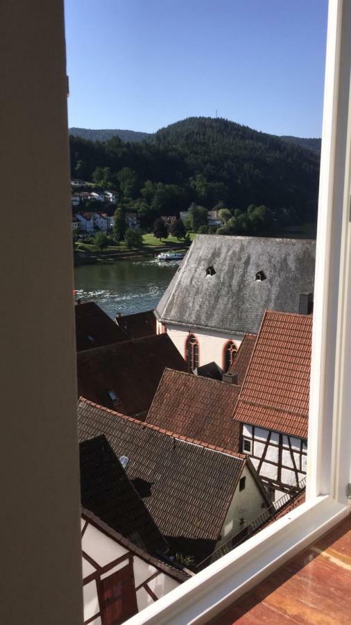 Natur Und Neckarblick Bei Heidelberg Хиршхорн Екстериор снимка